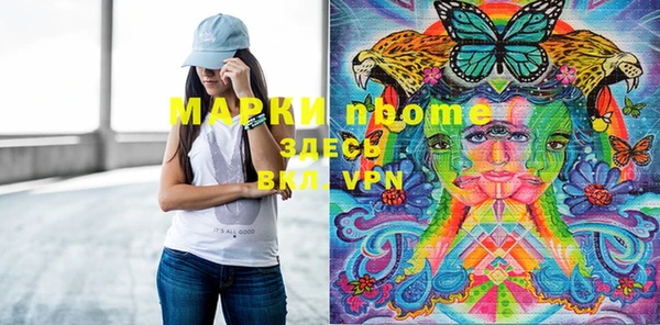 индика Арсеньев