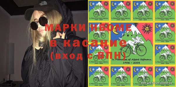индика Арсеньев