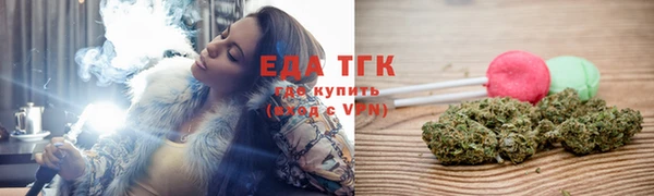 индика Арсеньев