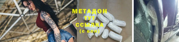 индика Арсеньев