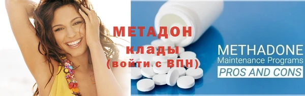 индика Арсеньев