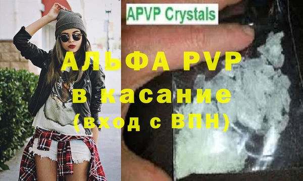 индика Арсеньев
