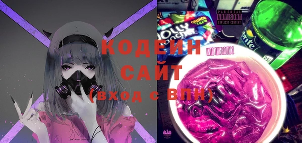индика Арсеньев