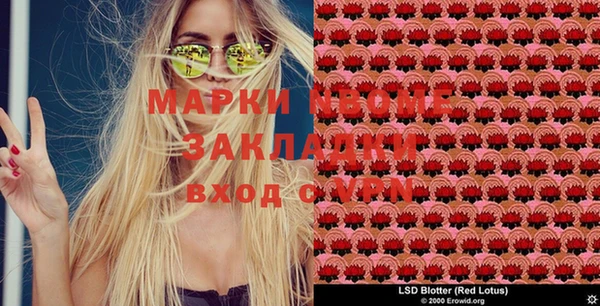 индика Арсеньев