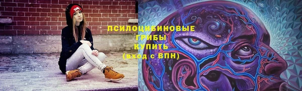 индика Арсеньев