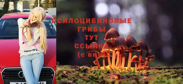 индика Арсеньев