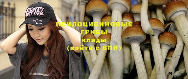 индика Арсеньев