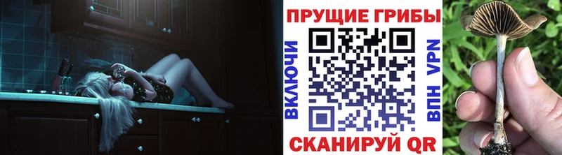 кракен вход  Нижние Серги  Галлюциногенные грибы MAGIC MUSHROOMS 